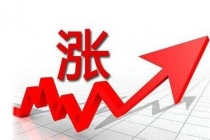 BOPP Packing Tape Price Get Higher Crazily